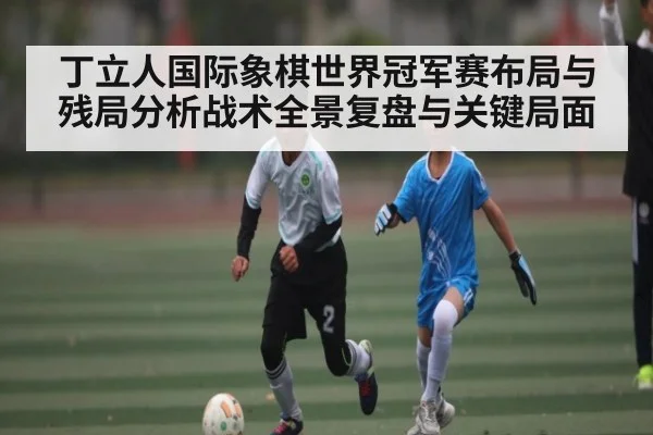 丁立人国际象棋世界冠军赛布局与残局分析战术全景复盘与关键局面
